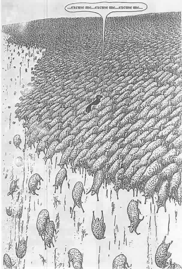 10330410_1680569595531433_8139683345005997380_n