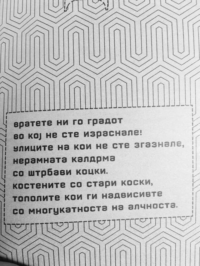 14409105_10157487000530554_1914825354_n